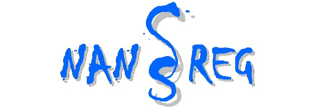 NANOREG Raman data template (updated by PLASTICFATE) template